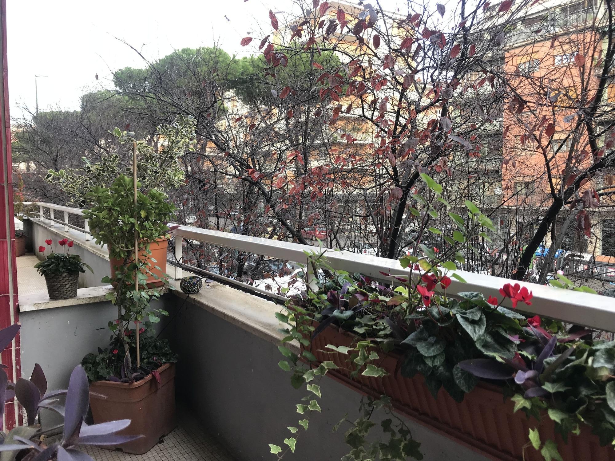 Casa Mia Vaticano Guest House Róma Kültér fotó